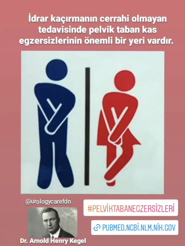 Kegel Egzersizi