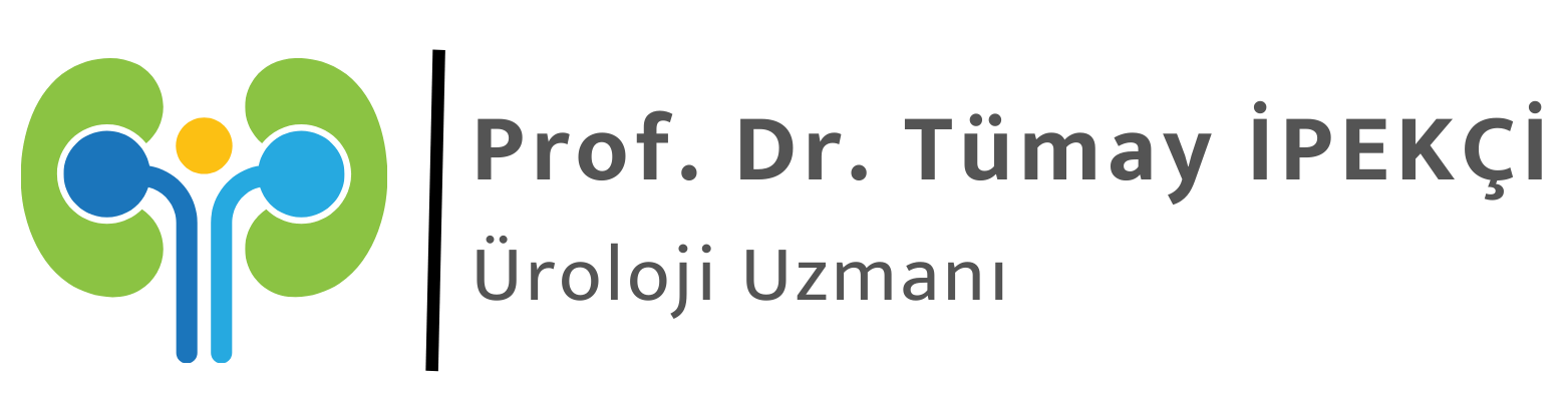 Prof. Dr. Tümay İPEKÇİ