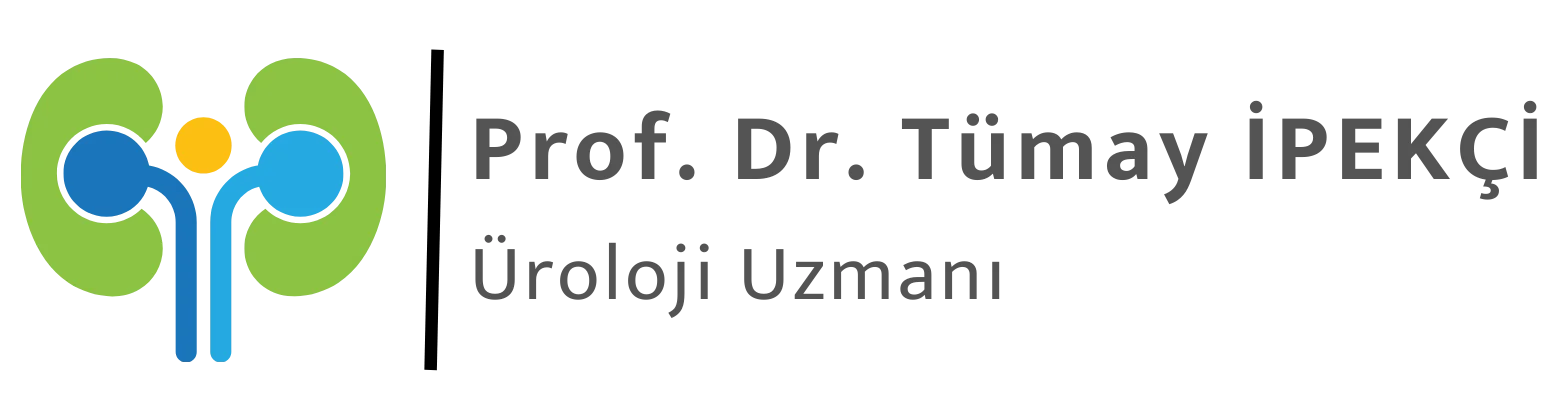 Prof. Dr. Tümay İPEKÇİ