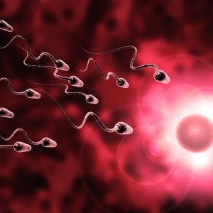 Erkek Subfertilitesi